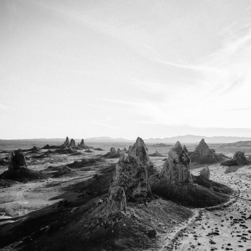 CD, Album LTO - Daear