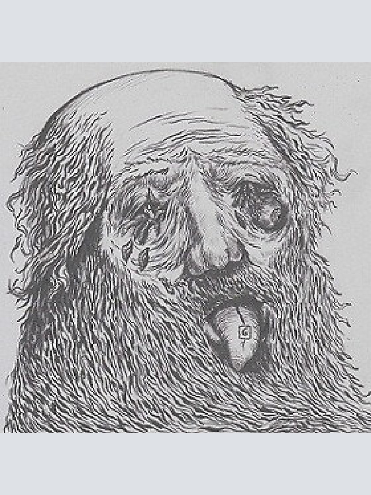 CD, Album Thy Grave - Anhedonia