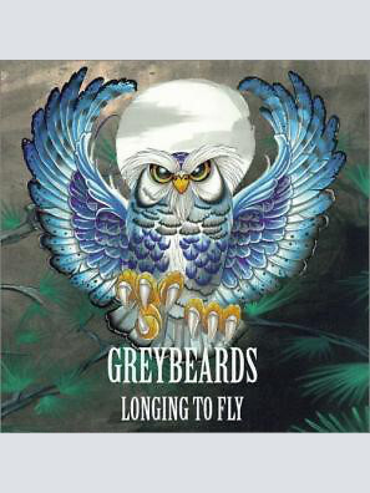 CD, Album Greybeards - Longing To Fly