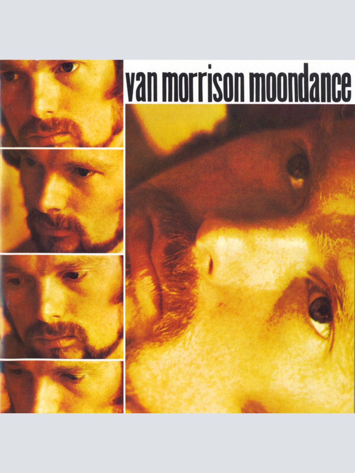 CD, Album, RE, RP Van Morrison - Moondance