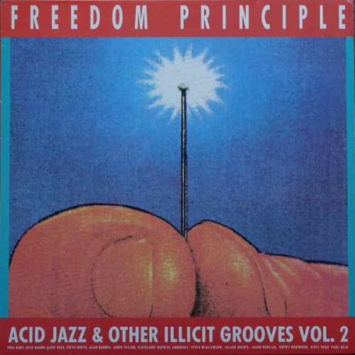 LP, Album Various - Freedom Principle: Acid Jazz & Other Illicit Grooves Vol. 2
