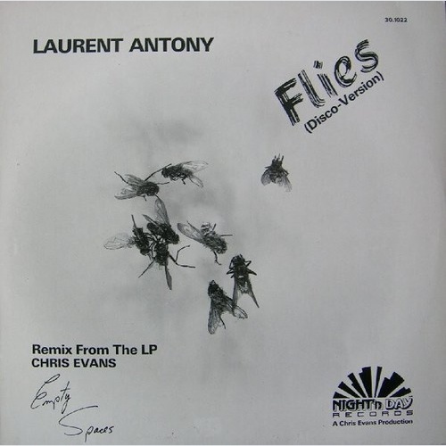 12" Laurent Antony - Flies (Remix)