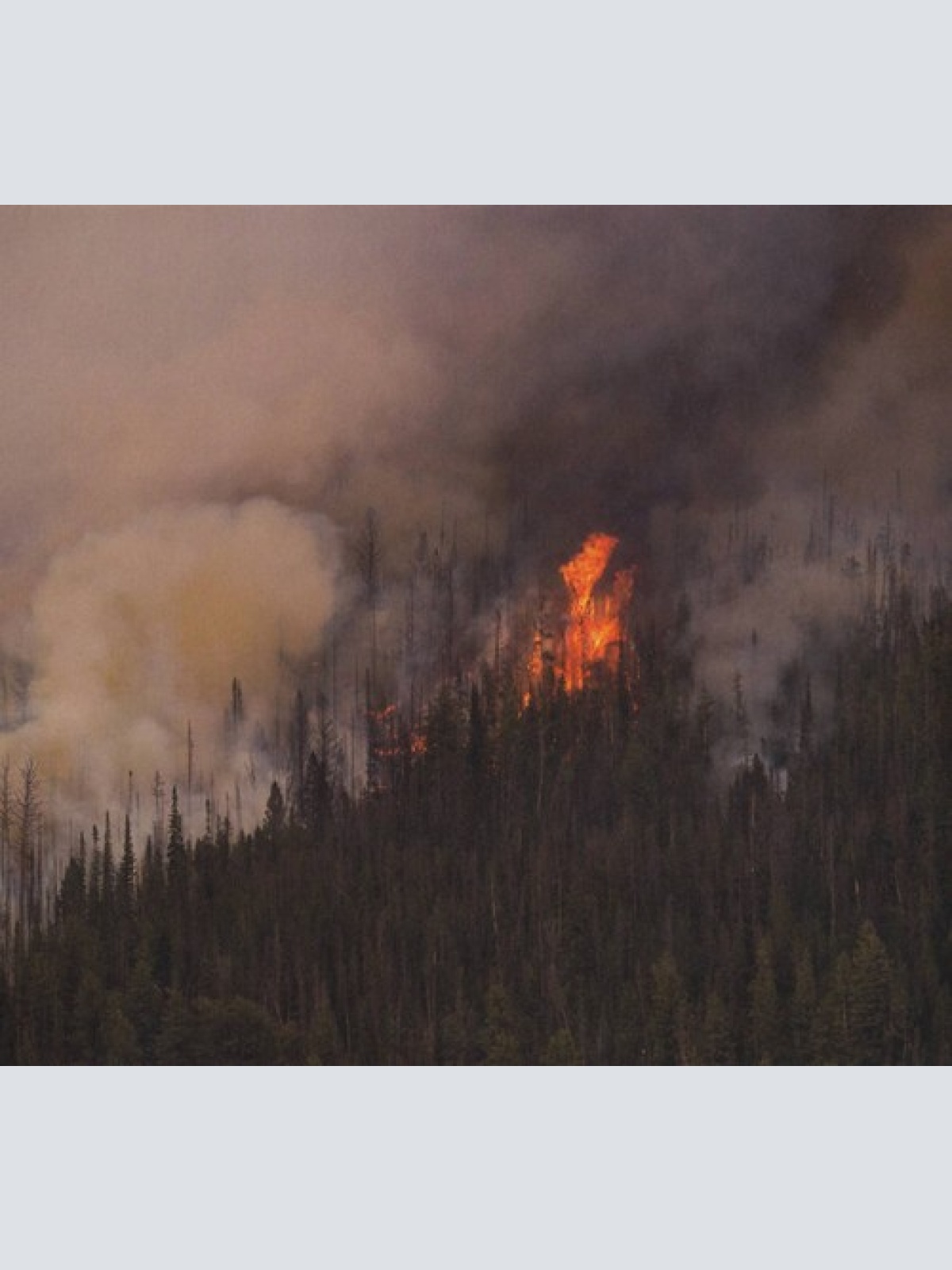 CD, Album Anicon - Exegeses