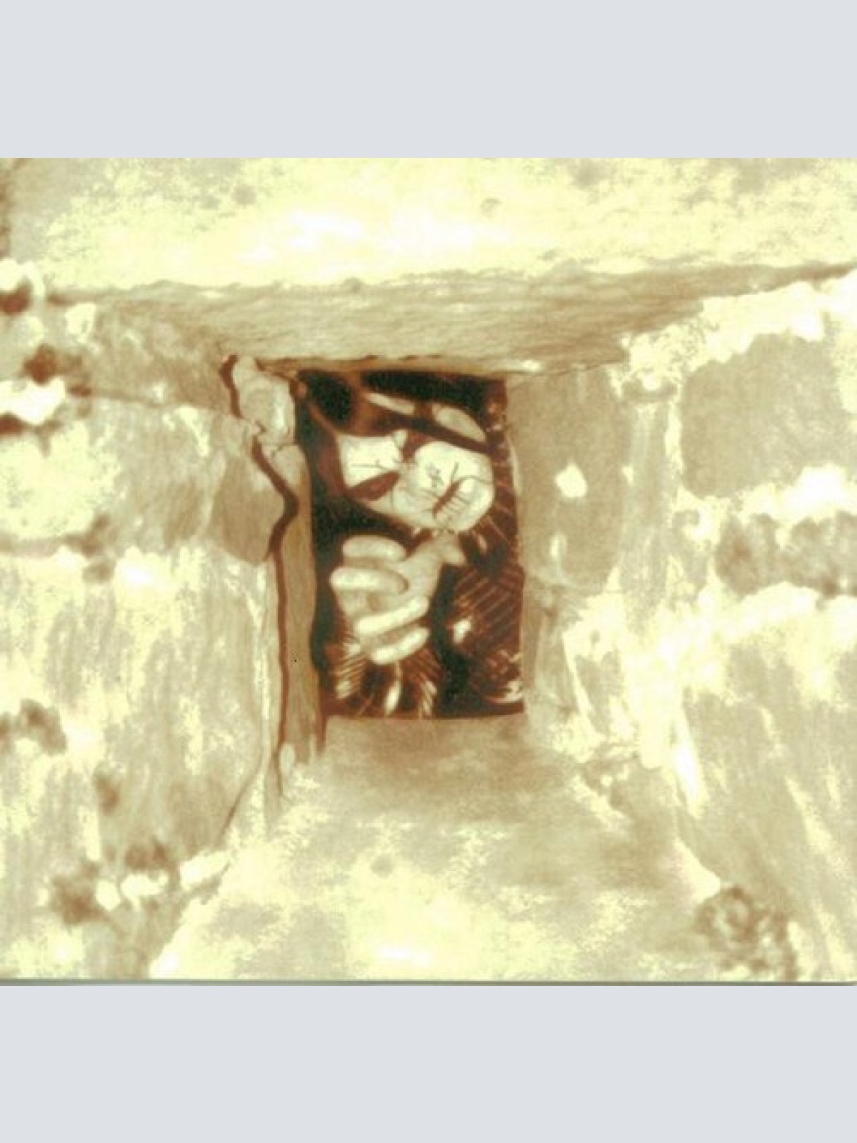 CD, Album Zorn (5) - Menschenfeind