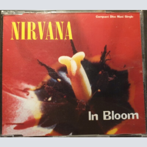 CD, Maxi, RE, Uni Nirvana - In Bloom
