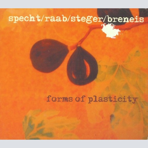 CD, Album Specht, Raab (3), Steger, Breneis - Forms Of Plasticity