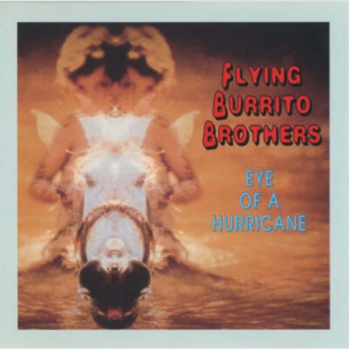 CD, Album Flying Burrito Brothers* - Eye Of A Hurricane