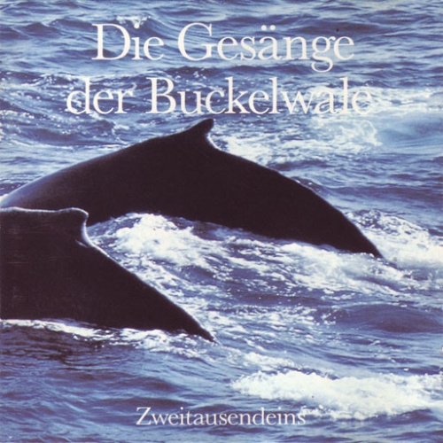 CD, Album, RE, Gat Buckelwale* - Die Gesänge Der Buckelwale