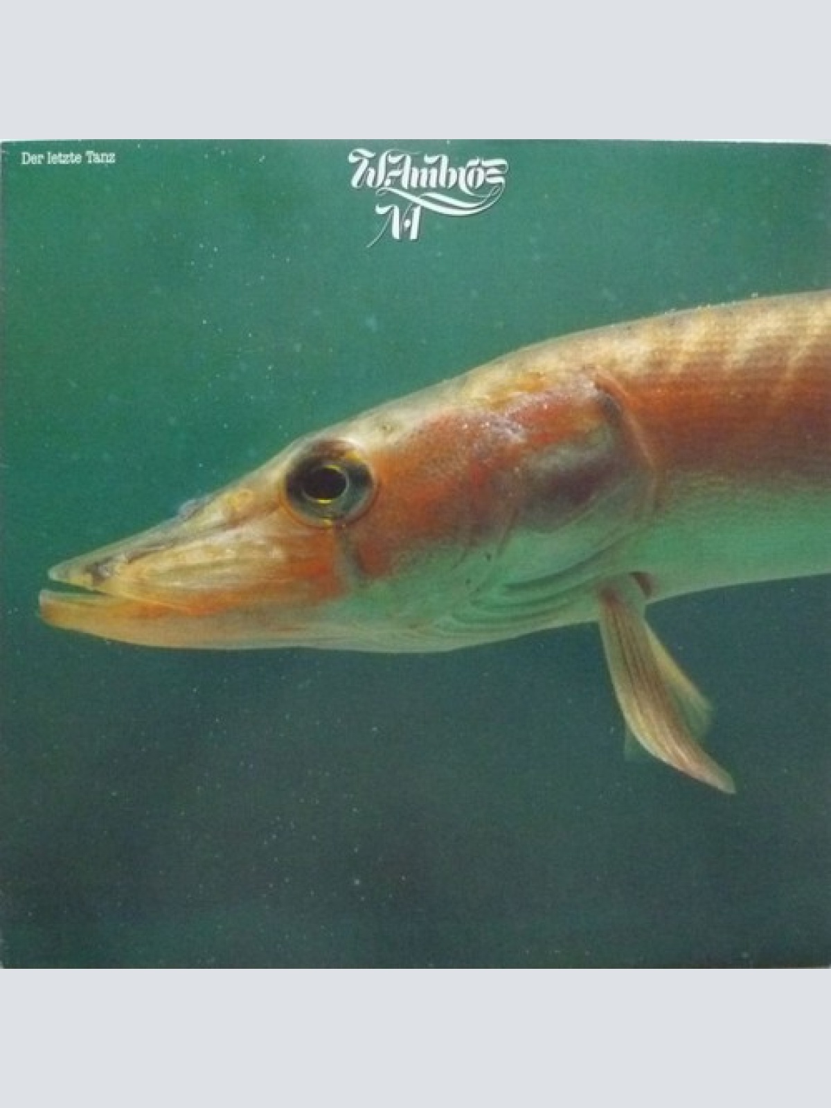 LP, Album, Club W. Ambros*, № 1* - Der Letzte Tanz