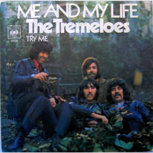 7", Single, Mono The Tremeloes - Me And My Life