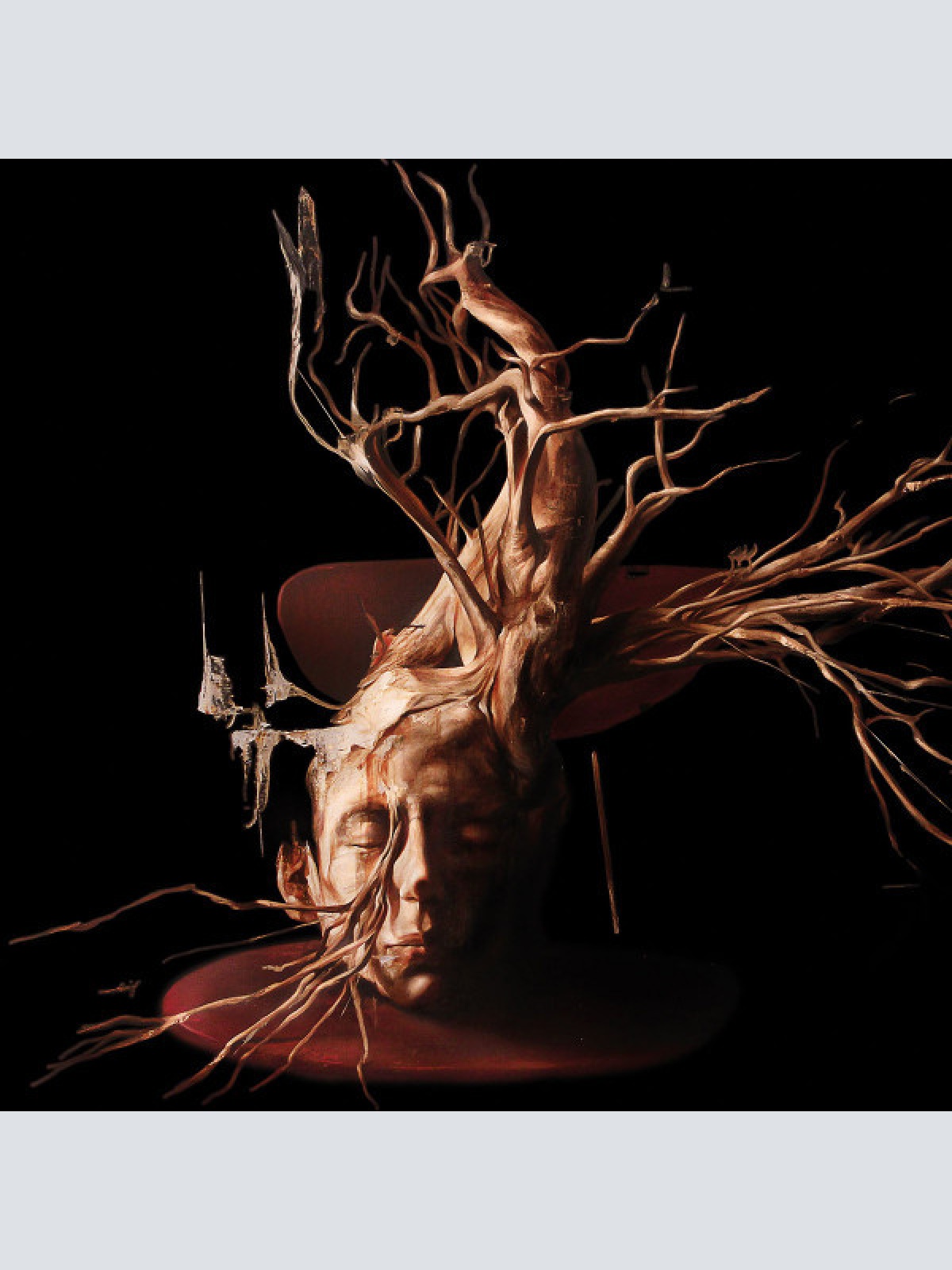 CD Swan Valley Heights - Terminal Forest