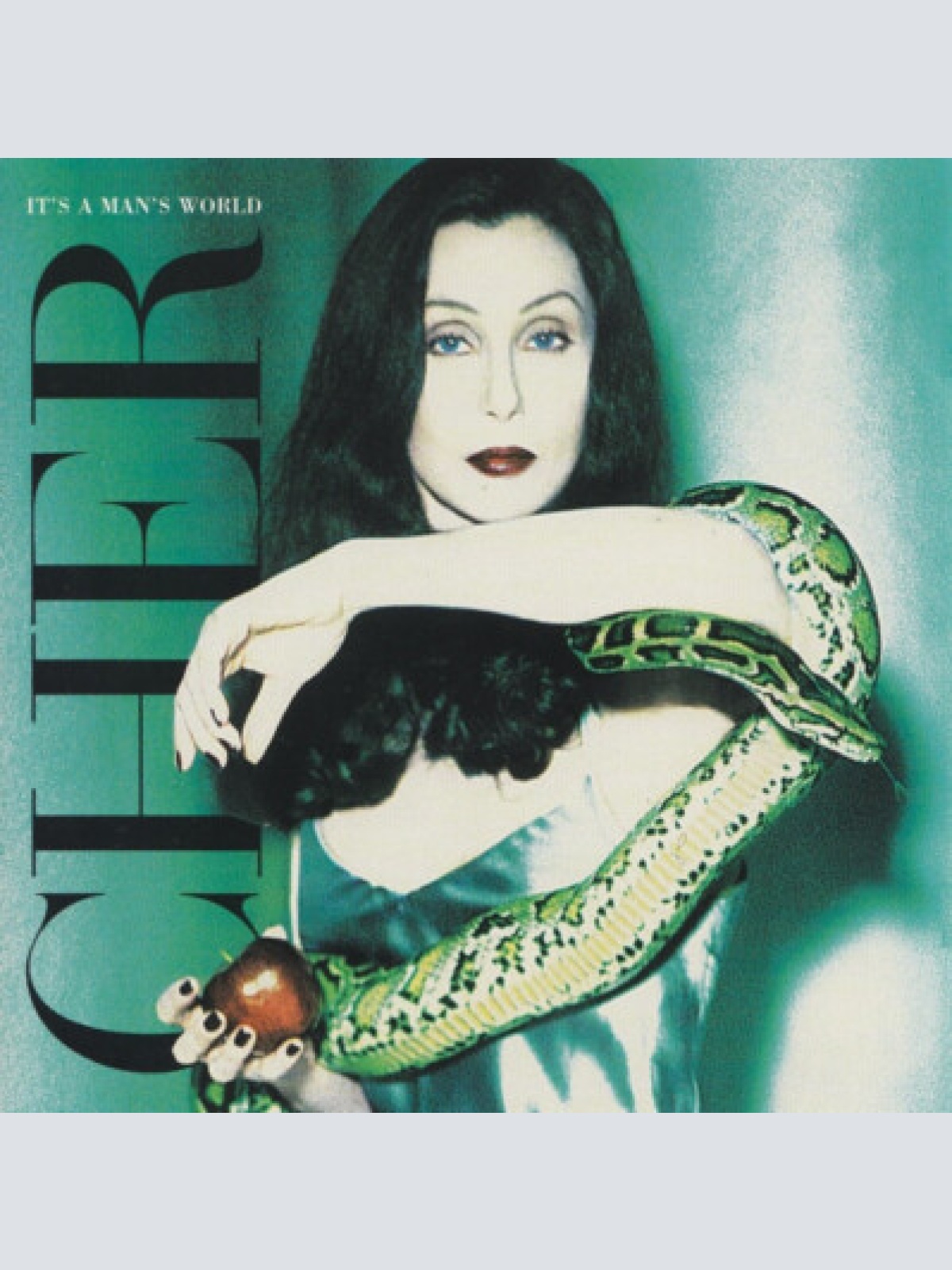 CD, Album Cher - It's A Man's World