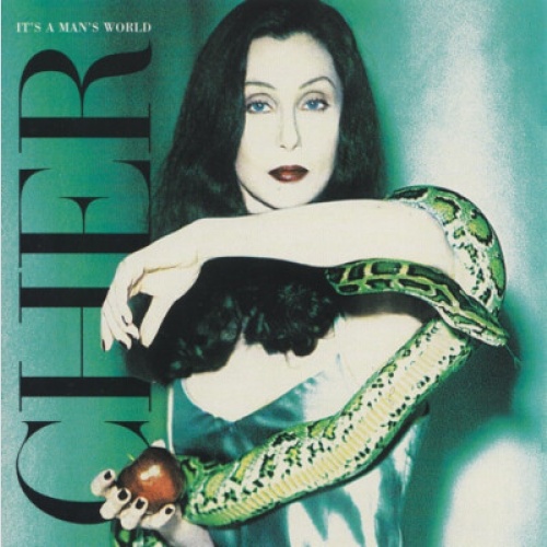 CD, Album Cher - It's A Man's World