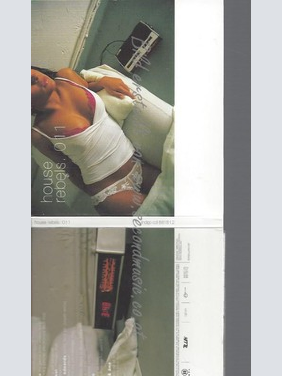 CD--VARIOUS -- -- HOUSE REBELS 011