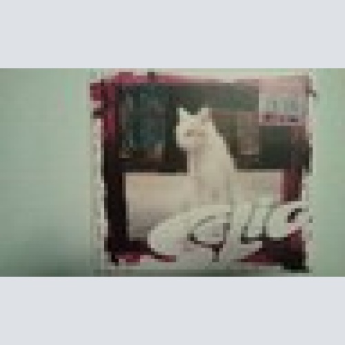 CD- SELIG --SCHAU SCHAU -- 3 TRACKS + VIDEO