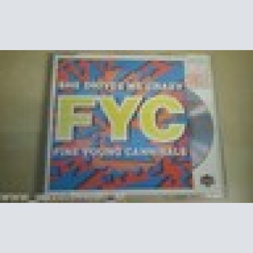 3 INCH MAXI CD -FINE YOUNG CANNIBALS--SHE DRIVES ME CRAZY --2 TRACKS