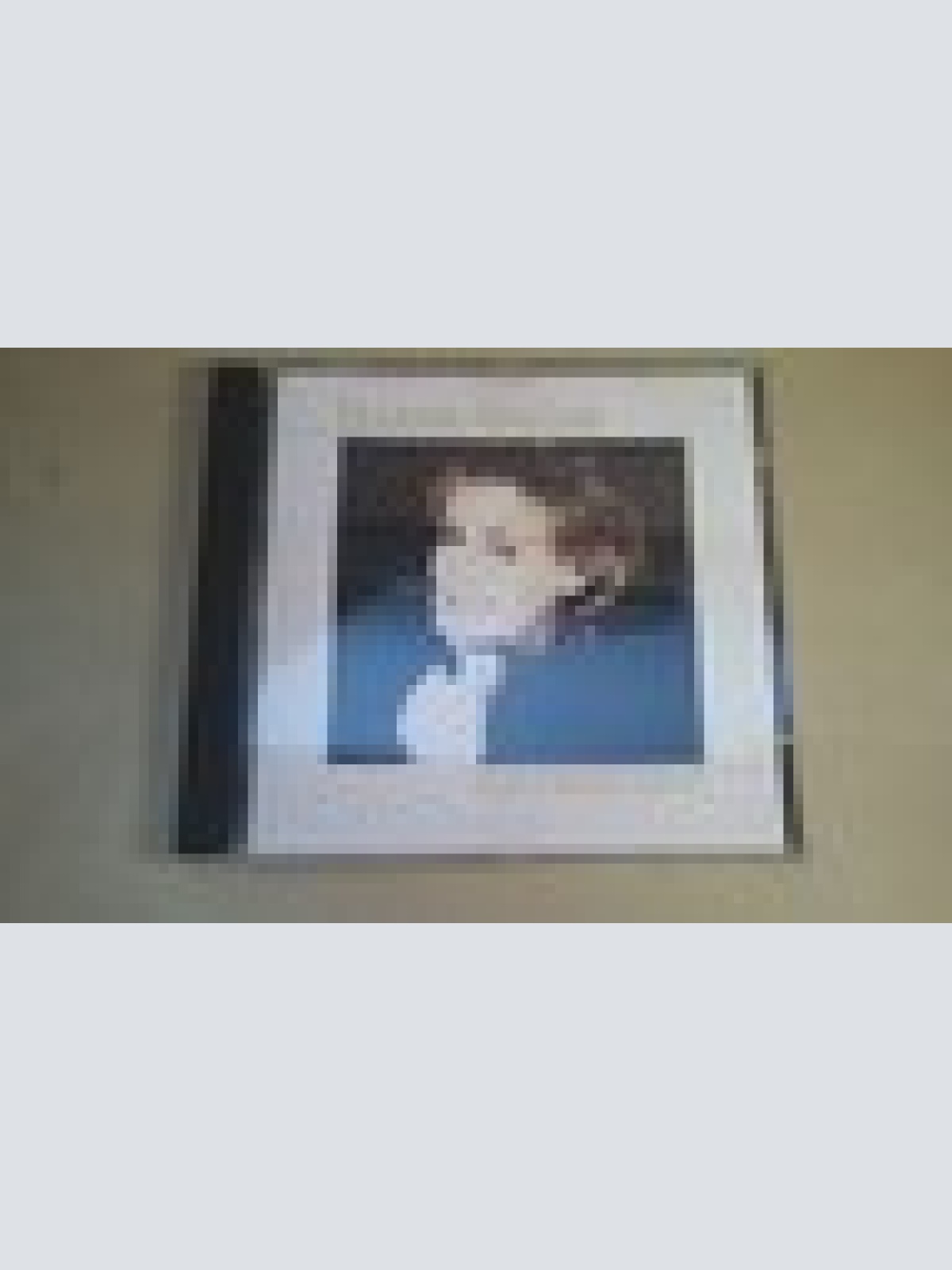 CD--HANNE HALLER--MEIN LIEBER MANN ----- ALBUM