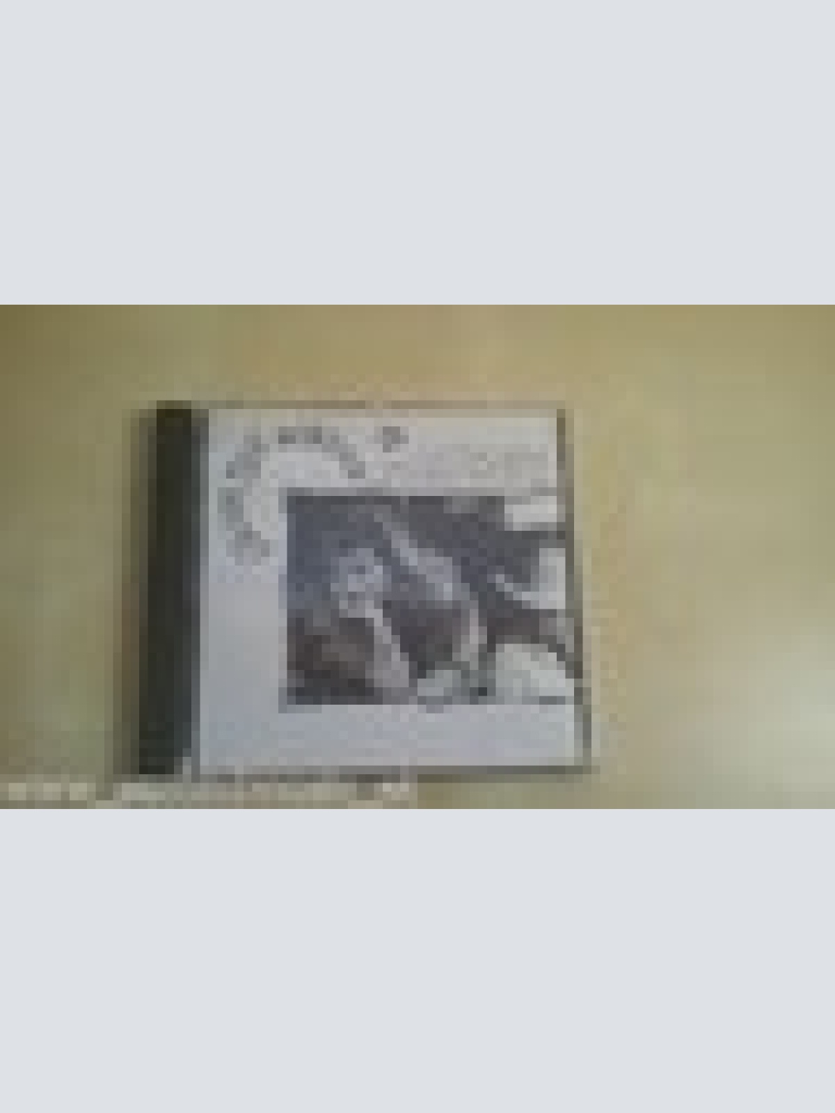 CD--CROSS THE BORDER-- -ALBUM