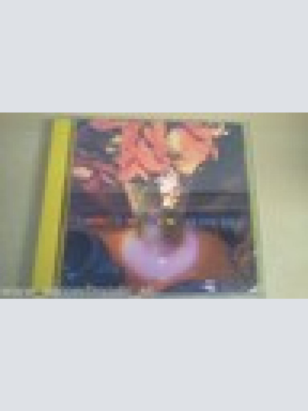 CD--DOWNY MILDEW --SLOW SKY --ALBUM