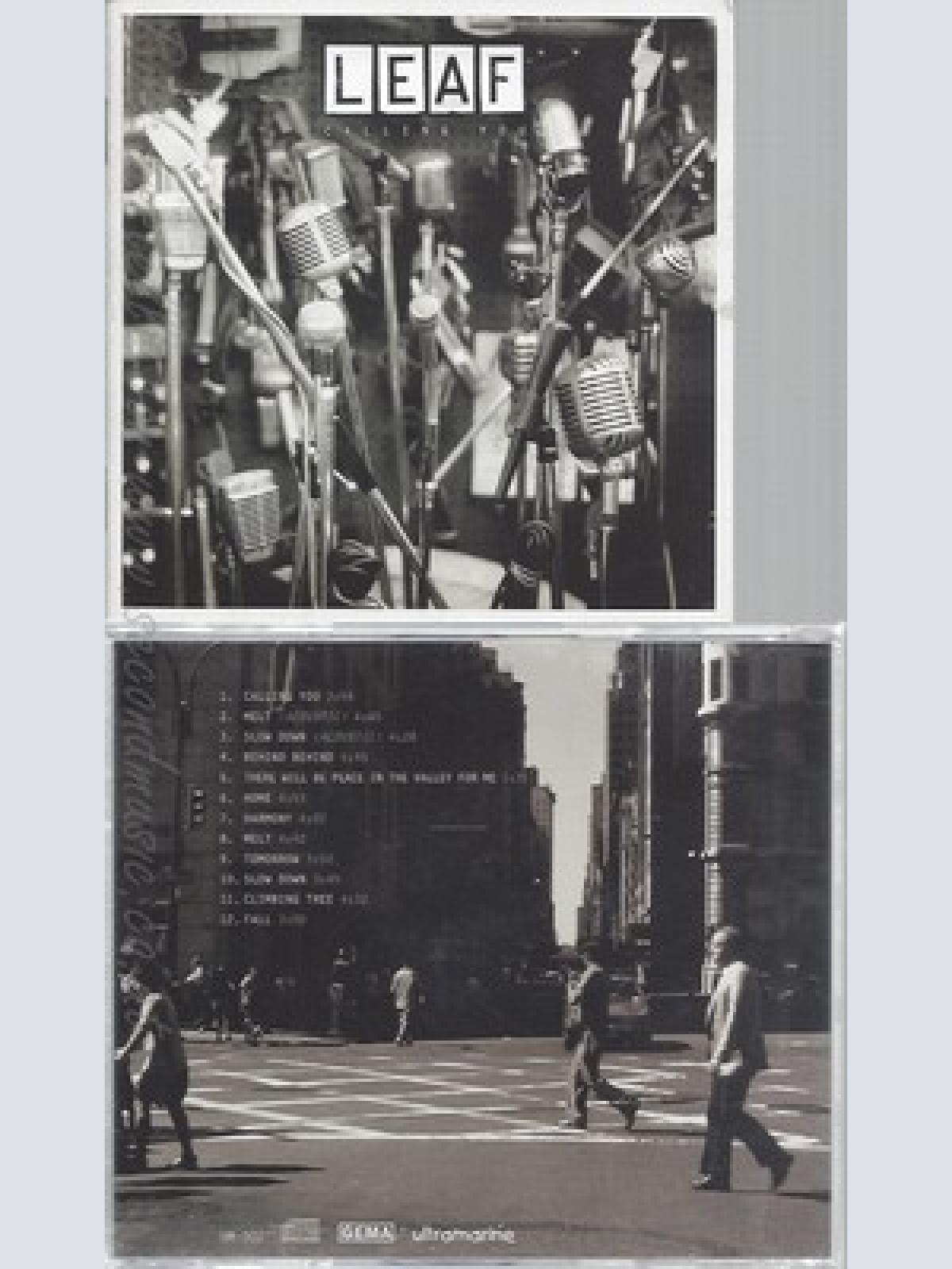 CD--LEAF--CALLING YOU