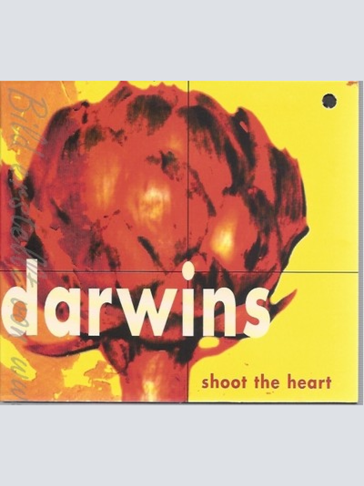 CD--DARWINS -- - SINGLE -- SHOOT THE HEART