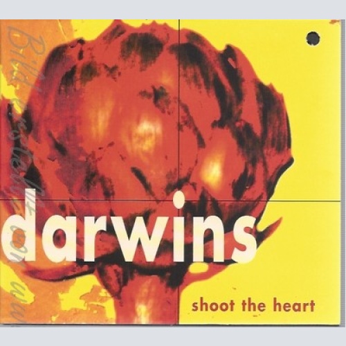 CD--DARWINS -- - SINGLE -- SHOOT THE HEART