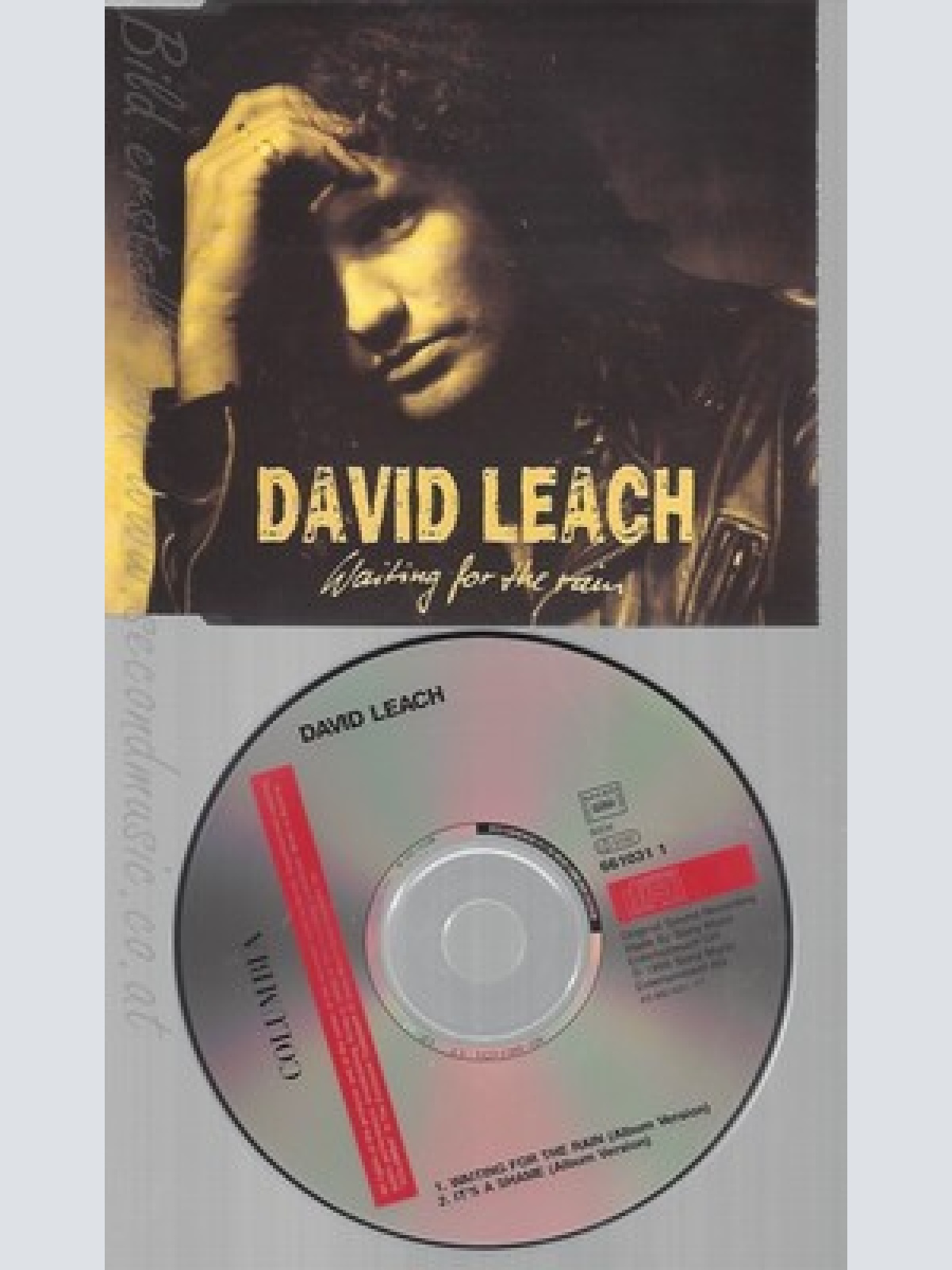 CD--DAVID LEACH -- --- WAITING FOR THE RAIN
