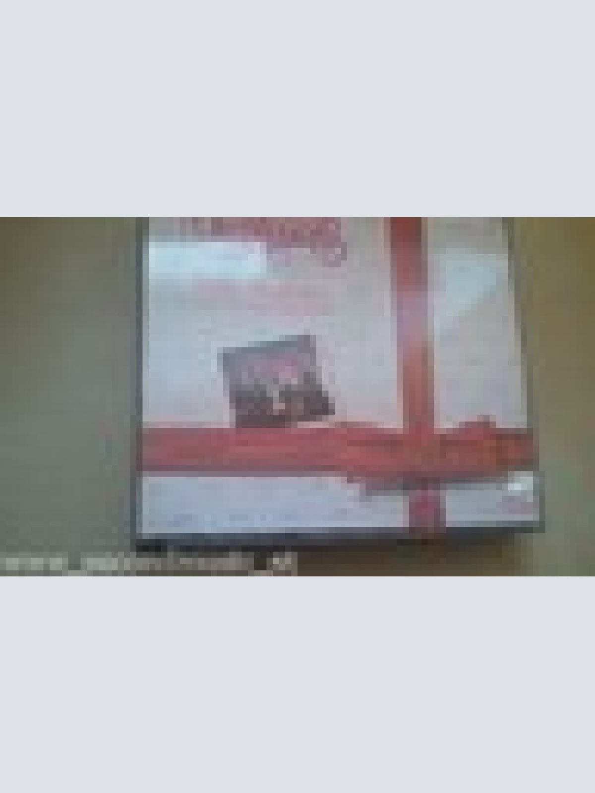 CD--DIE FLIPPERS--HIT COLLECTION--3CD BOX   -ALBUM