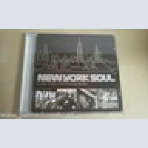 CD--NEW YORK SOUL--A BITE OF SOUL FROM BIG APPLE--ALBUM