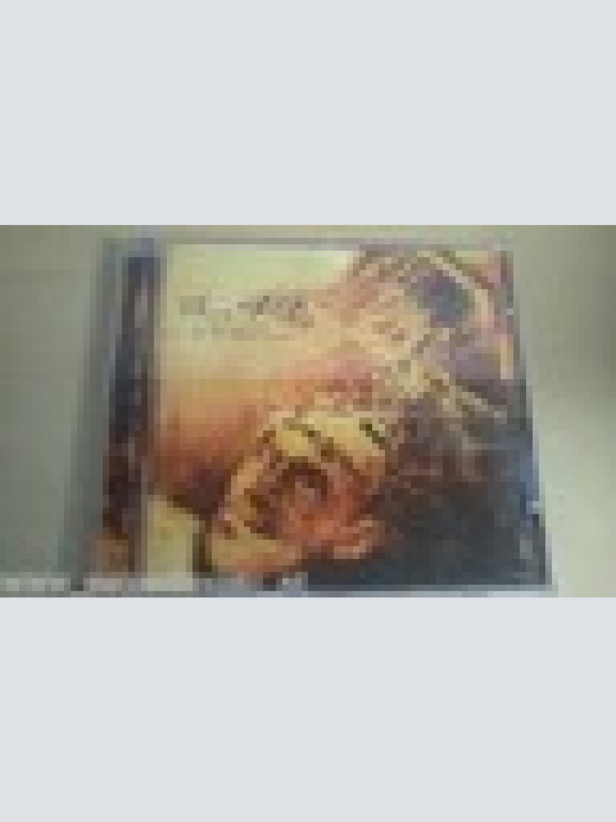 CD--SINCE THE DAY --EL MENSJERO NO ES IMPORTANTE-ALBUM