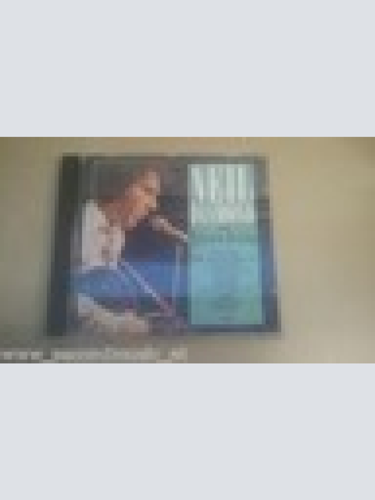 CD--NEIL DIAMOND--FIRST HITS --  --ALBUM