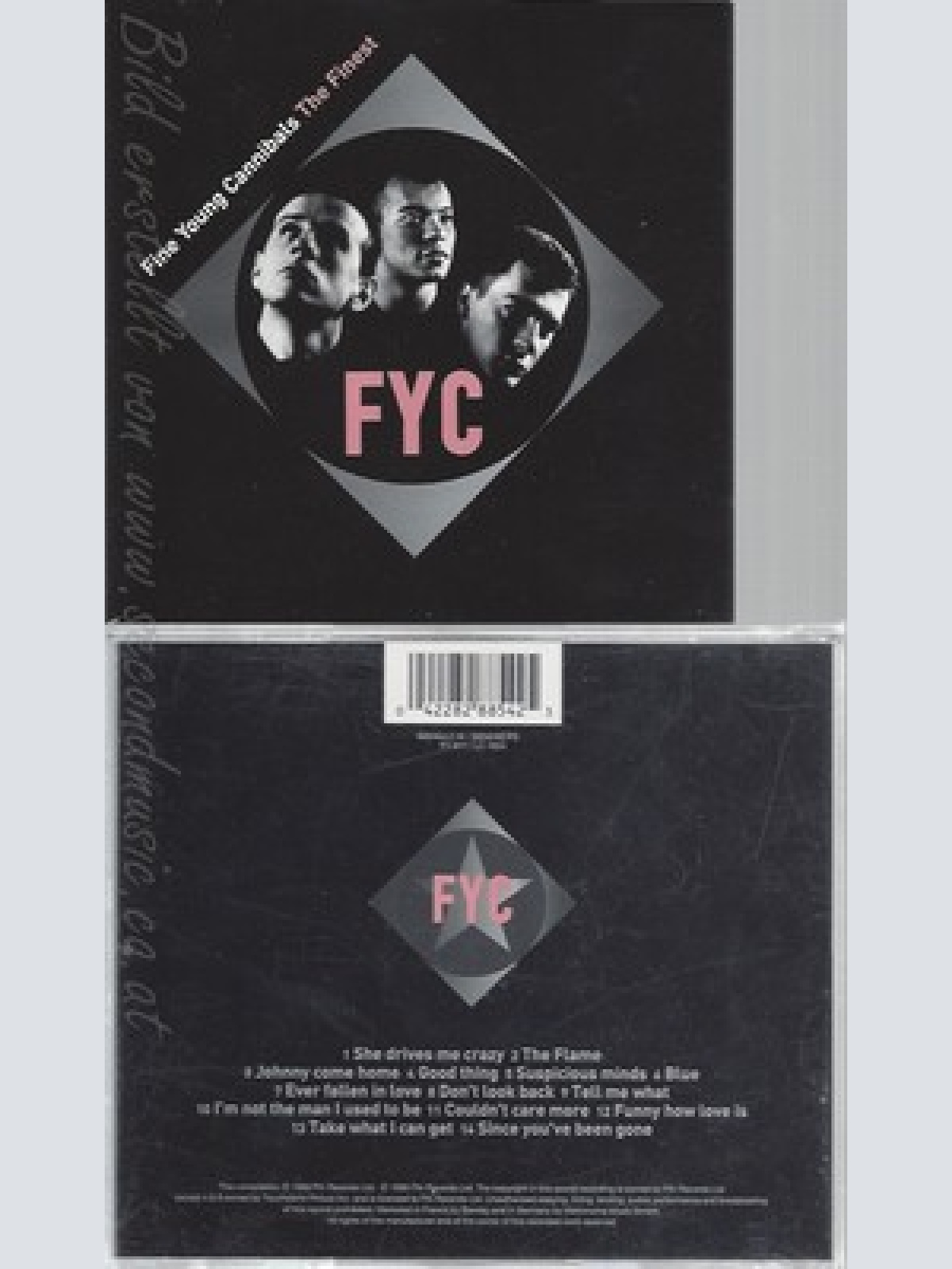 CD--FINE YOUNG CANNIBALS -- THE FINEST