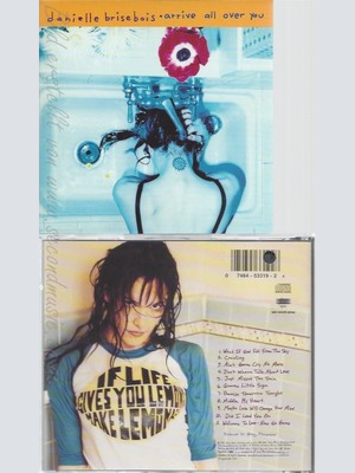 CD--DANIELLE BRISEBOIS -- --- ARRIVE ALL OVER YOU