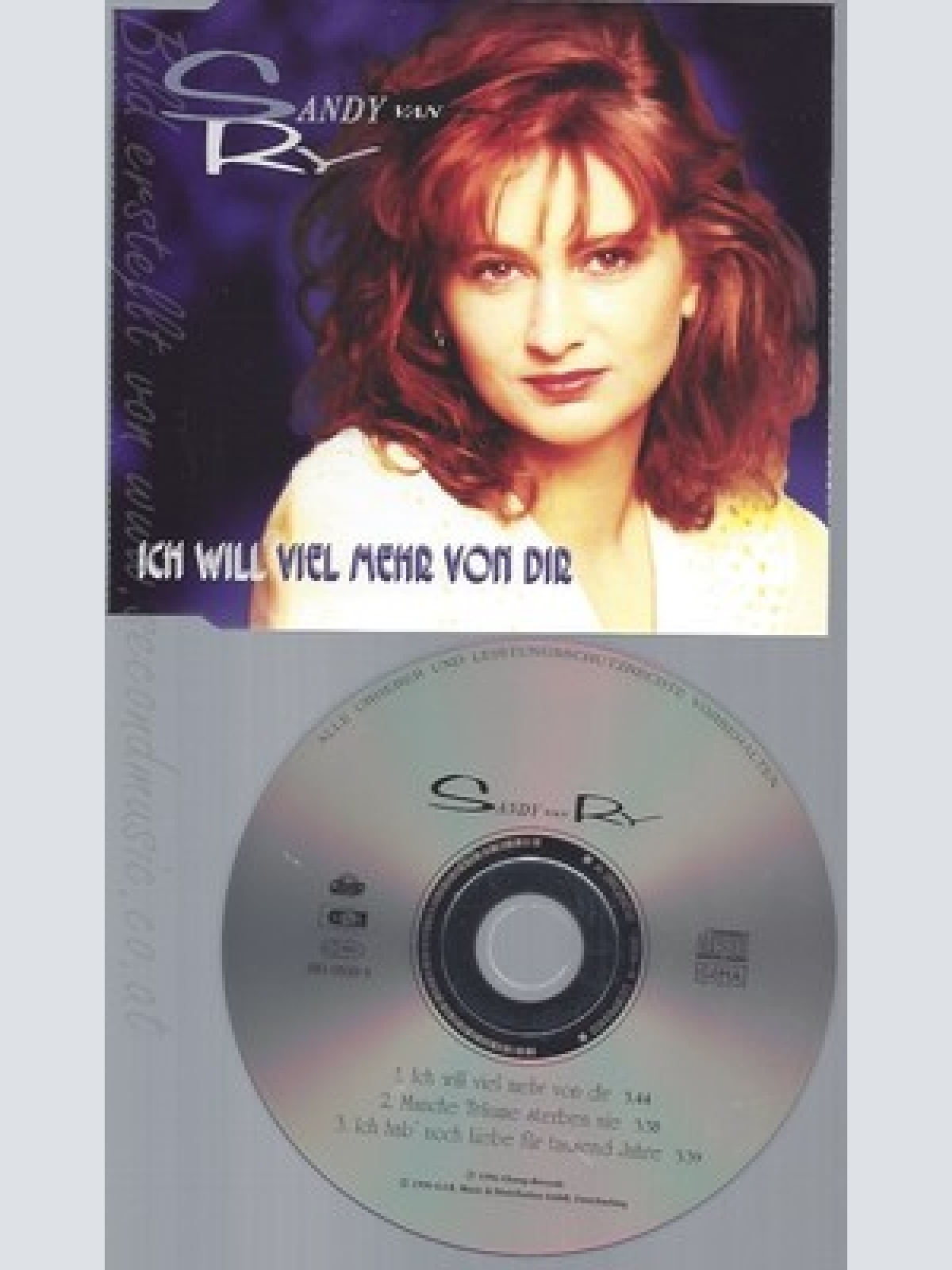 CD--SANDY VAN RY -- --- ICH WILL VIEL MEHR