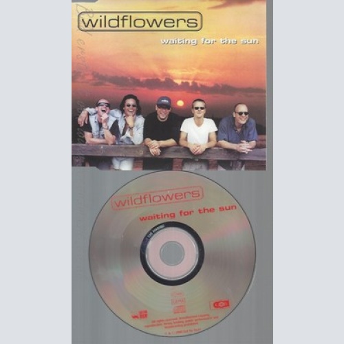 CD--WILDFLOWERS -- ----INCL. 3 VERSIONS, 2000-