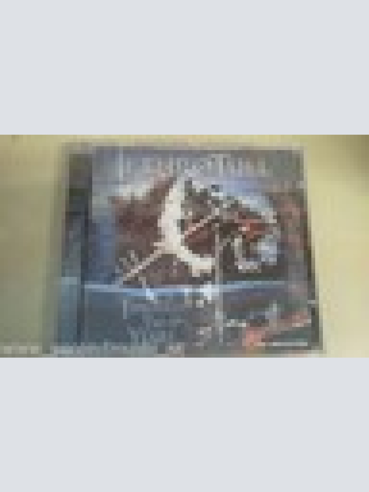 CD--JETHRO TULL--THROUH THE YEARS--13 TITEL --ALBUM