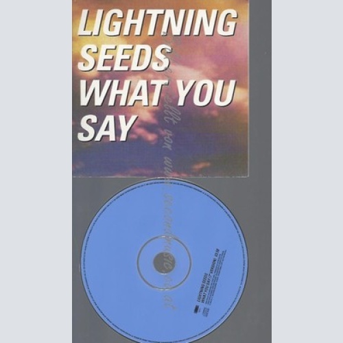 CD--PROMO--LIGHTNING SEEDS--WHAT YOU SAY