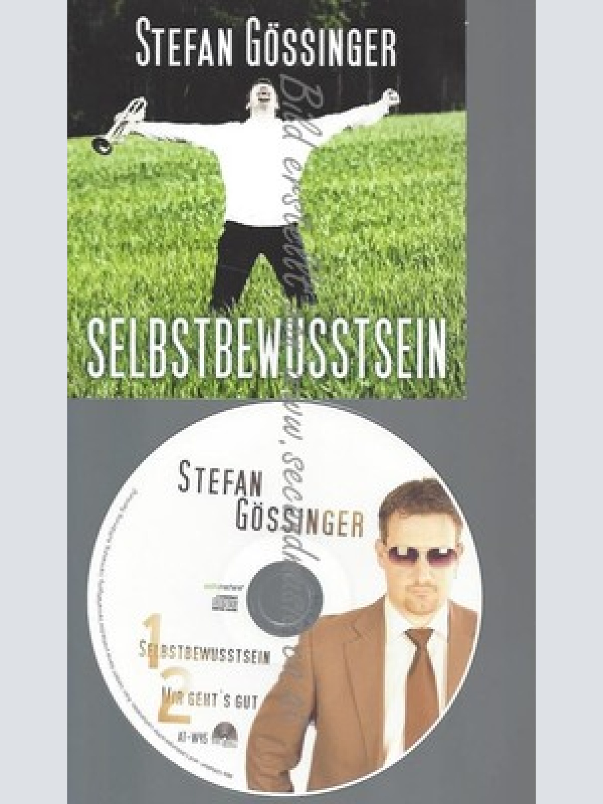 CD--PROMO--STEFAN GÖSSINGER--SELBSTBEWUSSTSEIN