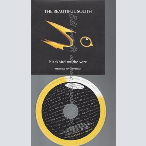 CD--PROMO--THE BEAUTIFUL SOUTH--BLCKBIRD ON THE WIRE--2 TRACKS