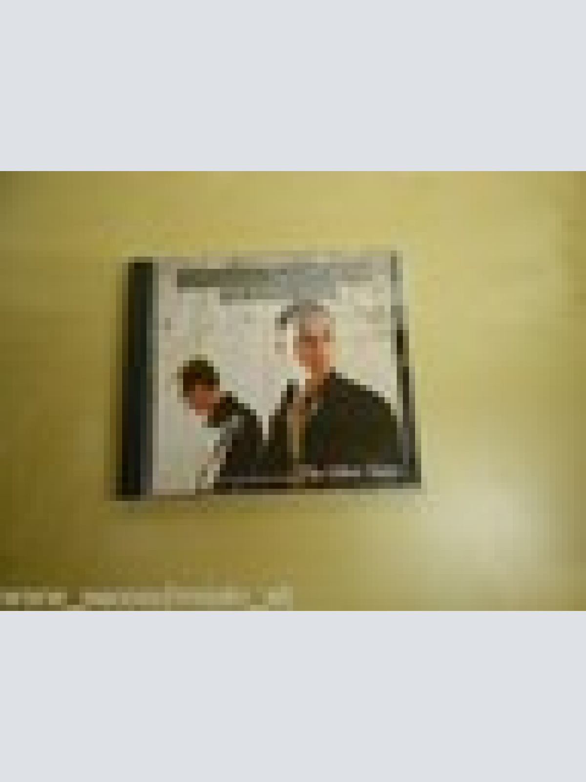 MAXI CD-- SAVAGE GARDDEN --THE ANIMAL SONG--2  TRACKS