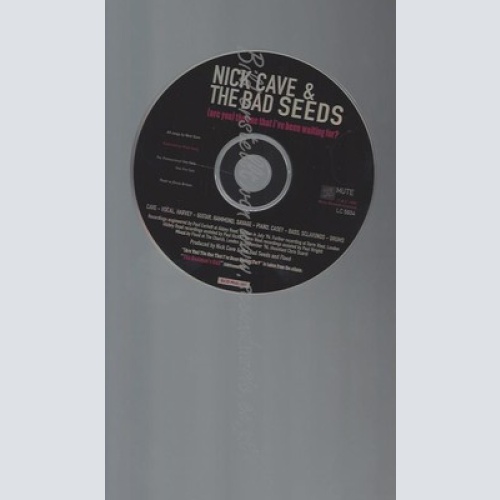 CD--PROMO--NICK CAVE & THE BAD SEEDS--ARE YOU THE ONE THAT I'VE BEEN WAITING FOR