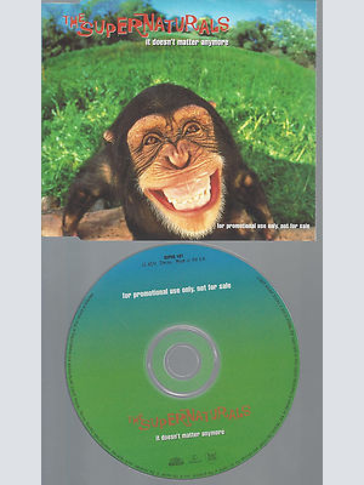 CD--THE SUPERNATURALS IT DOESN'T  MATTER ANYMORE--PROMO