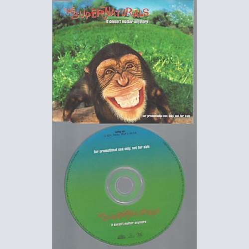 CD--THE SUPERNATURALS IT DOESN'T  MATTER ANYMORE--PROMO