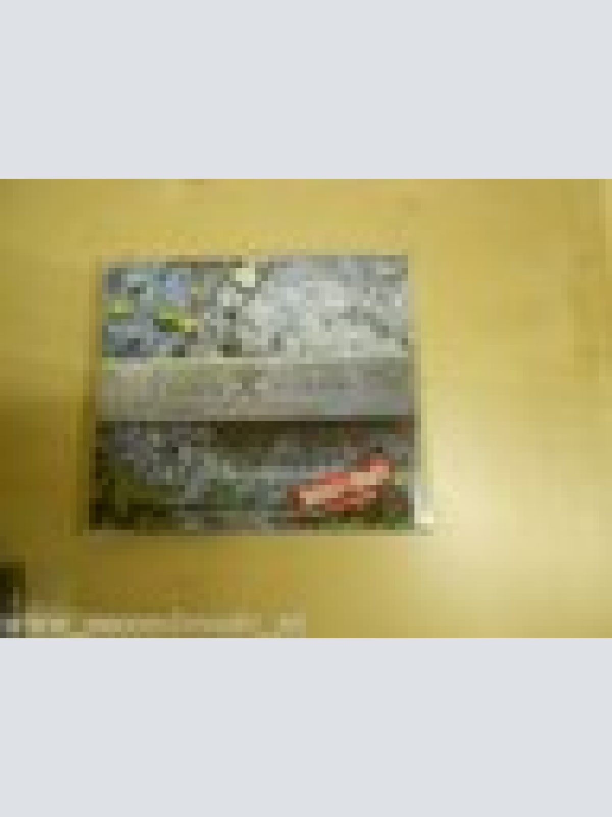 MAXI CD --XAVIER NAIDOO--SIE SIEHT MICH NICHT--3 TRACKS