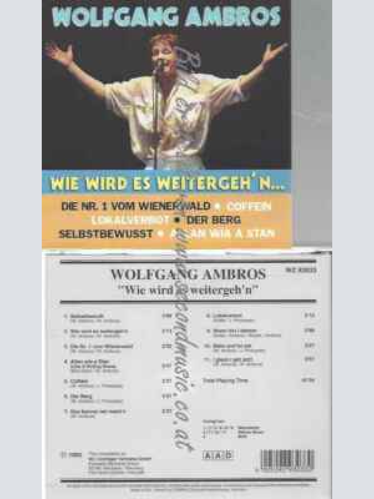 CD--WOLFGANG AMBROS--WIE WIRD ES WEITERGEH´N - ID.  -