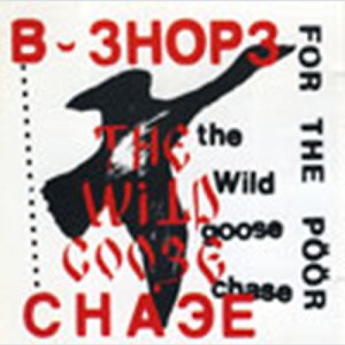 CD, Album B-Shops For The Poor - The Wild Goose Chase