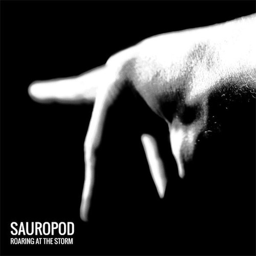 CD, Album Sauropod - Roaring At The Storm