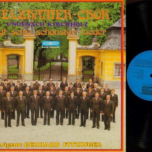 LP--Der Stelzhammer Chor --singt seine schönsten Lieder     //NM