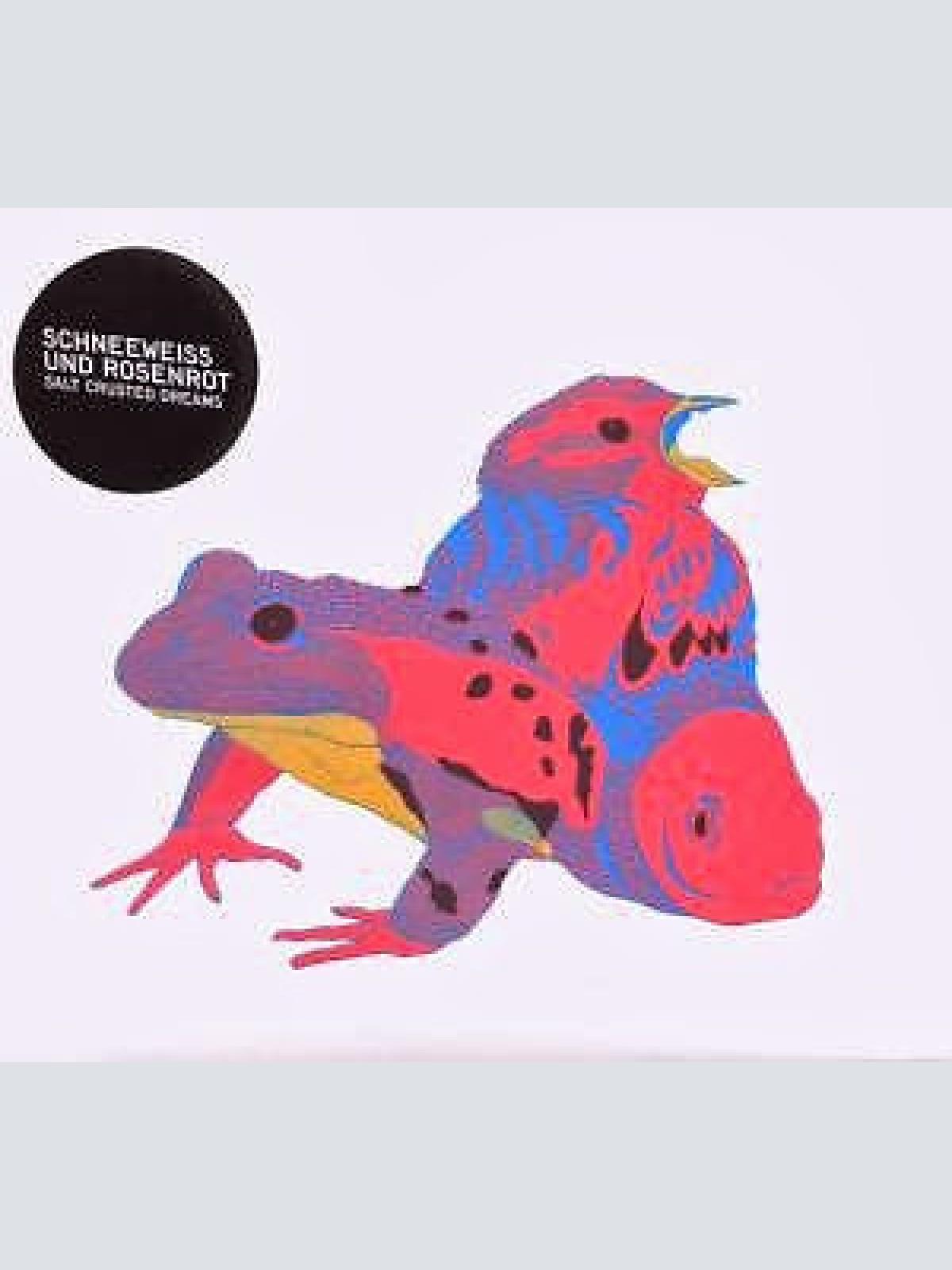 CD, Album Schneeweiss & Rosenrot - Salt Crusted Dreams