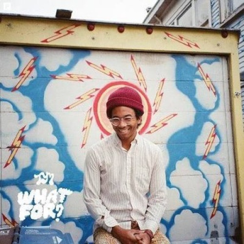 CD, Album Toro Y Moi - What For?